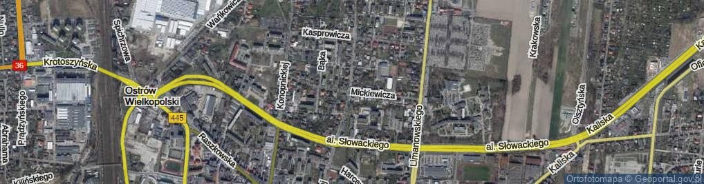 Zdjęcie satelitarne Mickiewicza Adama ul.